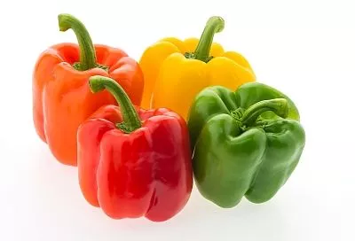 Август — месяц сбора томатов и других овощей