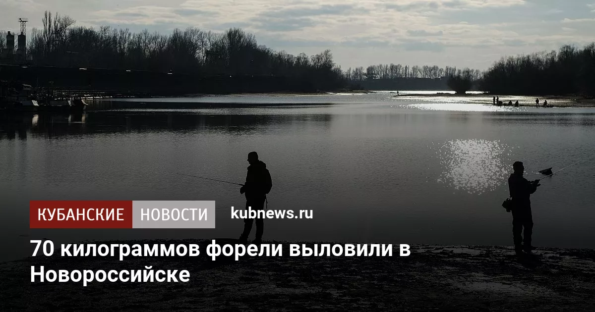 70 килограммов форели выловили в Новороссийске