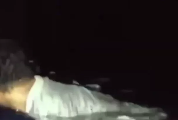 Трагедия у острова Балук: паром затонул, сотни спасены, десятки — пропали