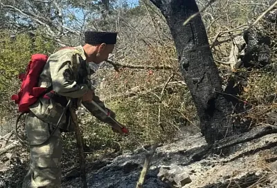 Пожар на Утрише в Анапе локализован, пожарные проливают очаги