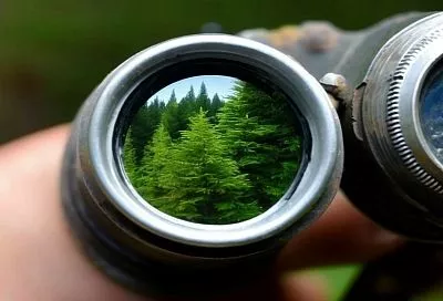 Шесть растений, которые помогли укрепить обороноспособность нашей страны