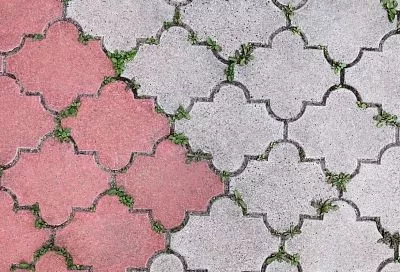 Пожилая соседка поделилась секретом «ухода» для тротуарной плиткой во дворе - теперь никаких сорняков между нею