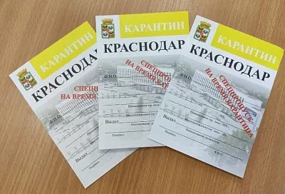 Евгений Первышов: «Желтые спецпропуска дадут возможность выехать в Адыгею и вернуться в Краснодар»