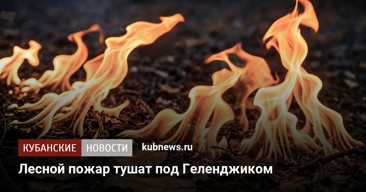 Лесной пожар тушат под Геленджиком