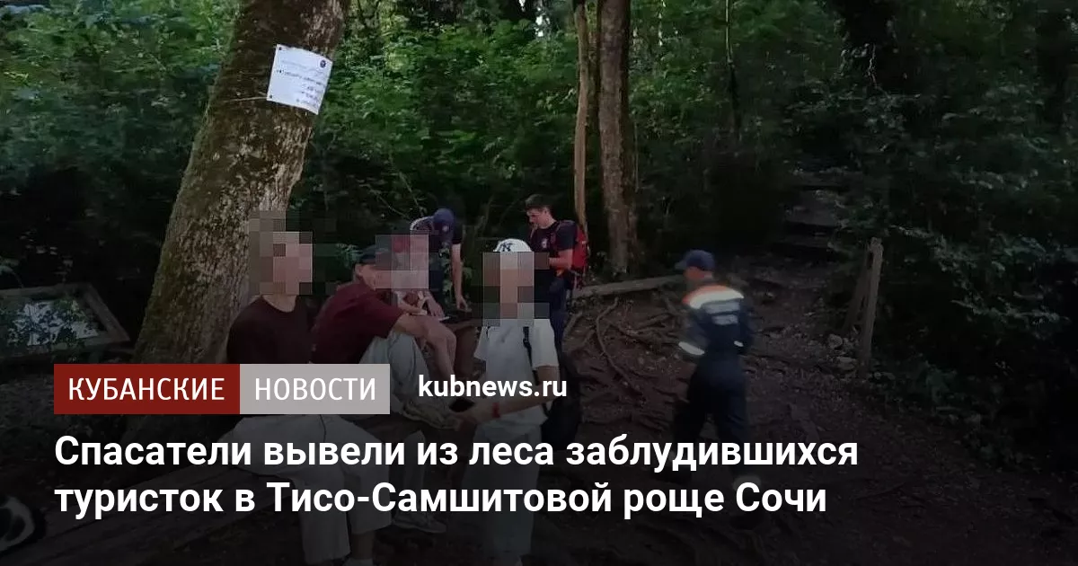 Спасатели вывели из леса заблудившихся туристок в Тисо-Самшитовой роще Сочи