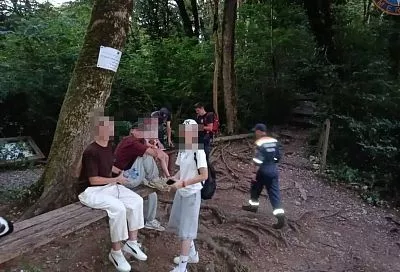 Спасатели вывели из леса заблудившихся туристок в Тисо-Самшитовой роще Сочи