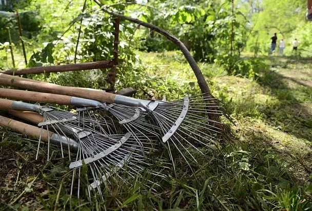 В Краснодаре с 25 августа стартует санитарный марафон