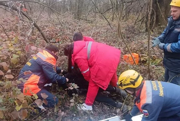 Дерево упало на мужчину в Краснодарском крае