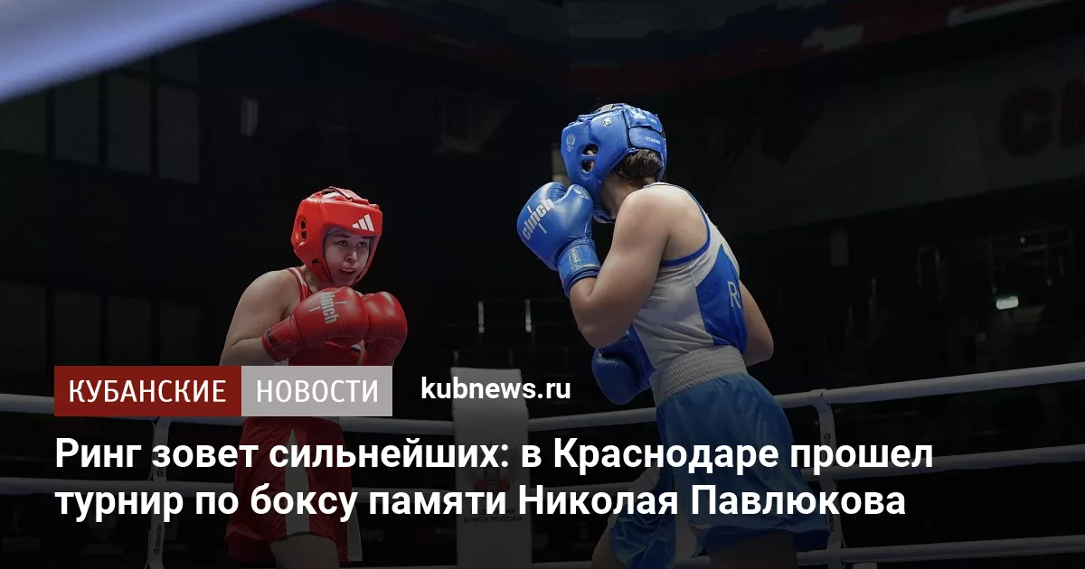 Ринг зовет сильнейших: в Краснодаре прошел турнир по боксу памяти Николая Павлюкова