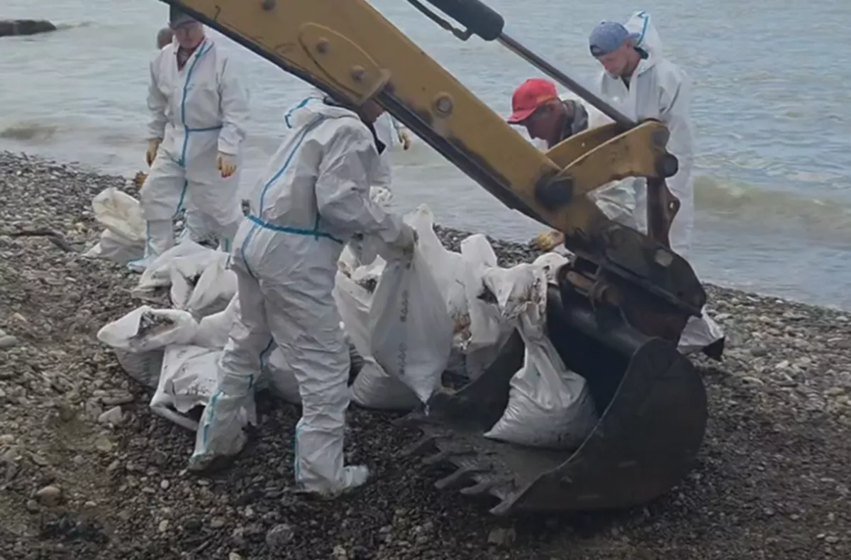 Более 32,7 тыс. кубометров загрязненного грунта и водомазутной смеси собрали в Туапсе