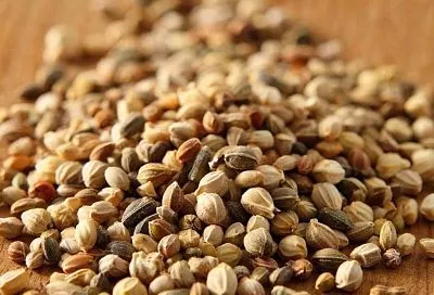 Путь к обильному урожаю начинается с маленького семени. Перед посадкой семена необходимо правильно обработать