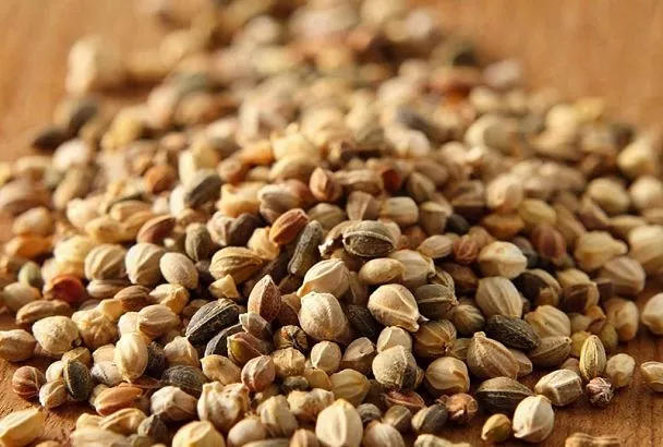 Путь к обильному урожаю начинается с маленького семени. Перед посадкой семена необходимо правильно обработать