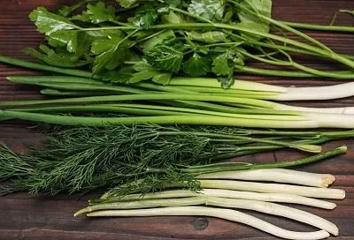 Как перевезти зелень с дачи, чтобы она не завяла: самый простой и эффективный способ