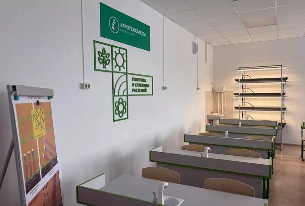 В открытых на Кубани в 2025 году по нацпроекту агроклассах обучаются более 340 школьников