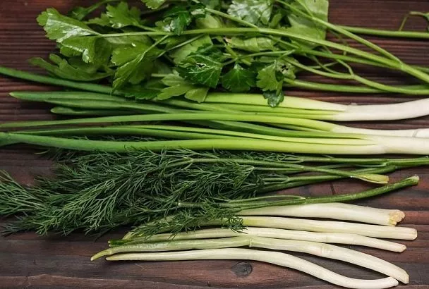 Как перевезти зелень с дачи, чтобы она не завяла: самый простой и эффективный способ