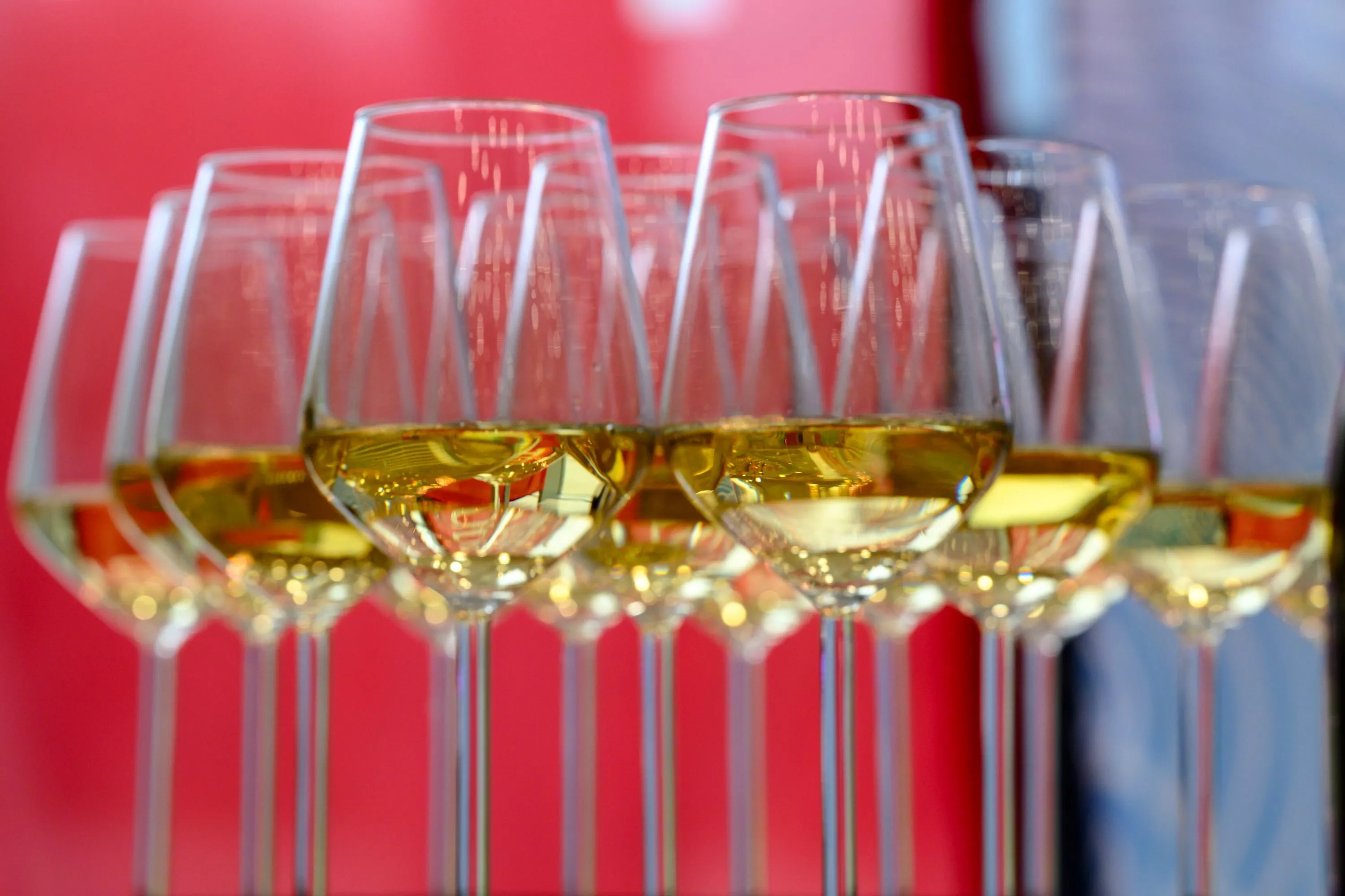 Бархатный праздник винограда на Кубани 