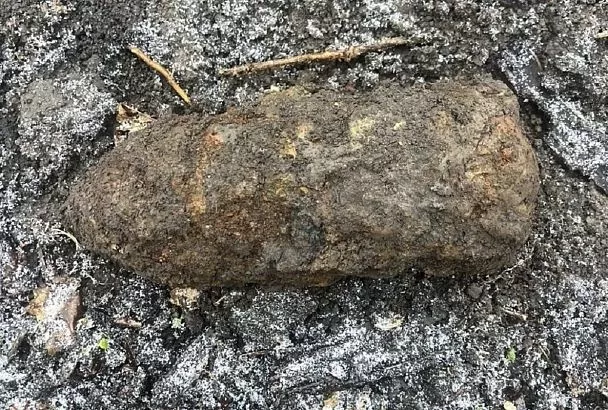 Артиллерийский снаряд времен Великой Отечественной уничтожили в Краснодарском крае