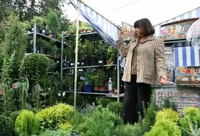 В Краснодарском крае 98% посадочного материала выращено местными производителями