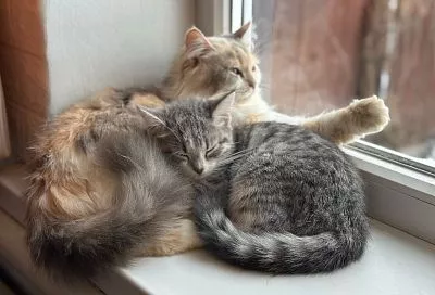 В прокуратуре Кубани предупредили о новой мошеннической схеме с возвратом переплаты за отопление