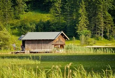 Купить дом еще успеете: с февраля миллионы российских дачников заживут припеваючи