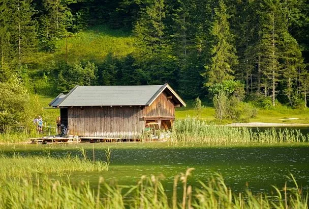 Купить дом еще успеете: с февраля миллионы российских дачников заживут припеваючи