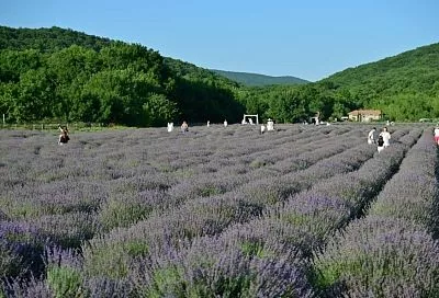 В Новороссийске более чем в четыре раза выросло число гостиниц и отелей за десять лет