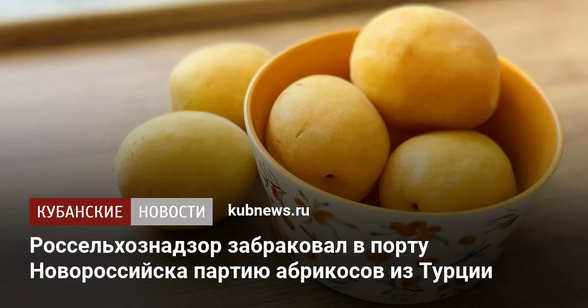 Россельхознадзор забраковал в порту Новороссийска партию абрикосов из Турции