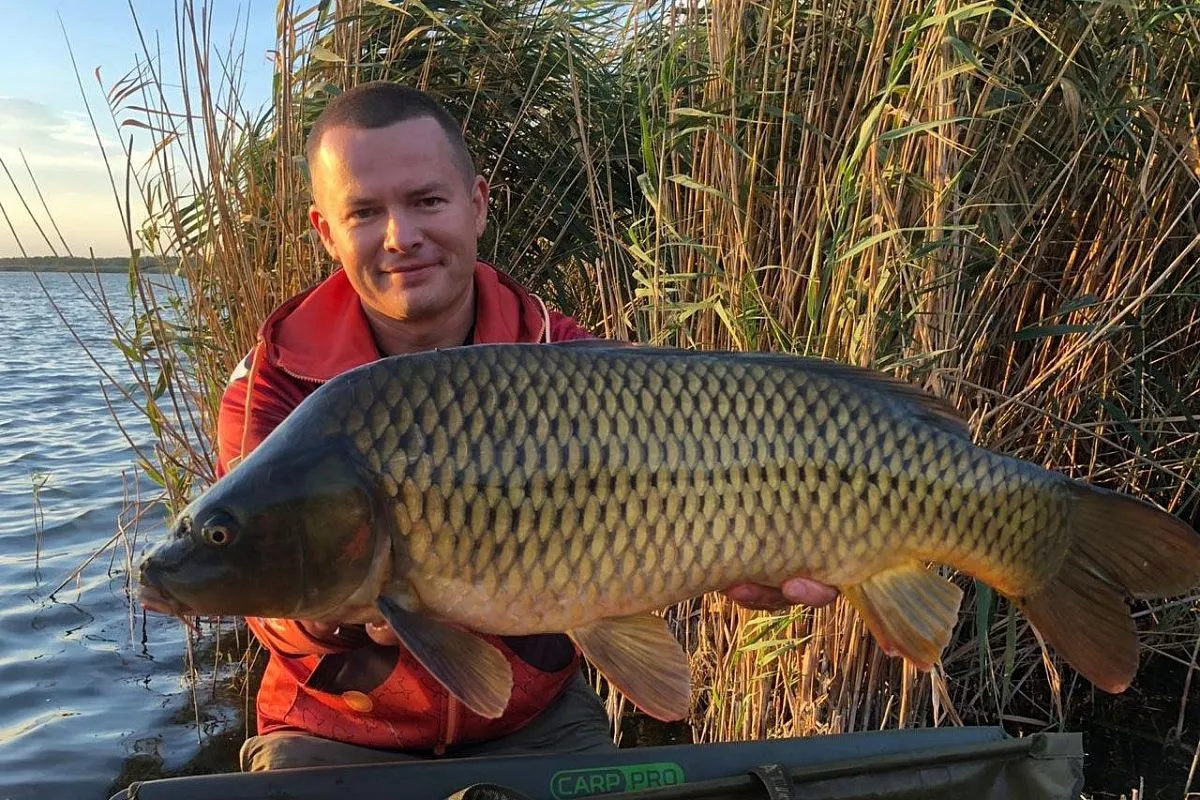 Участник чемпионата Александр Нитиевский из Краснодара с одним из трофейных обитателей водоема в Каневском районе.