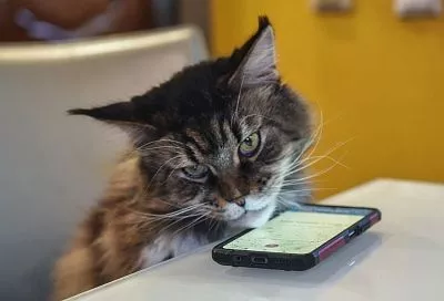 Стало известно, почему некоторые жители Краснодара получили электронные уведомления о миллионных счетах за ЖКУ 