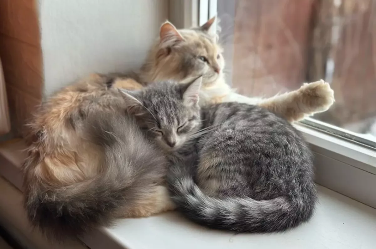 Аварийное отключение: девять многоквартирных домов в Краснодаре остались без отопления и горячей воды 