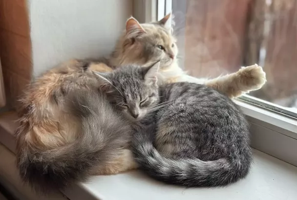 Аварийное отключение: девять многоквартирных домов в Краснодаре остались без отопления и горячей воды 