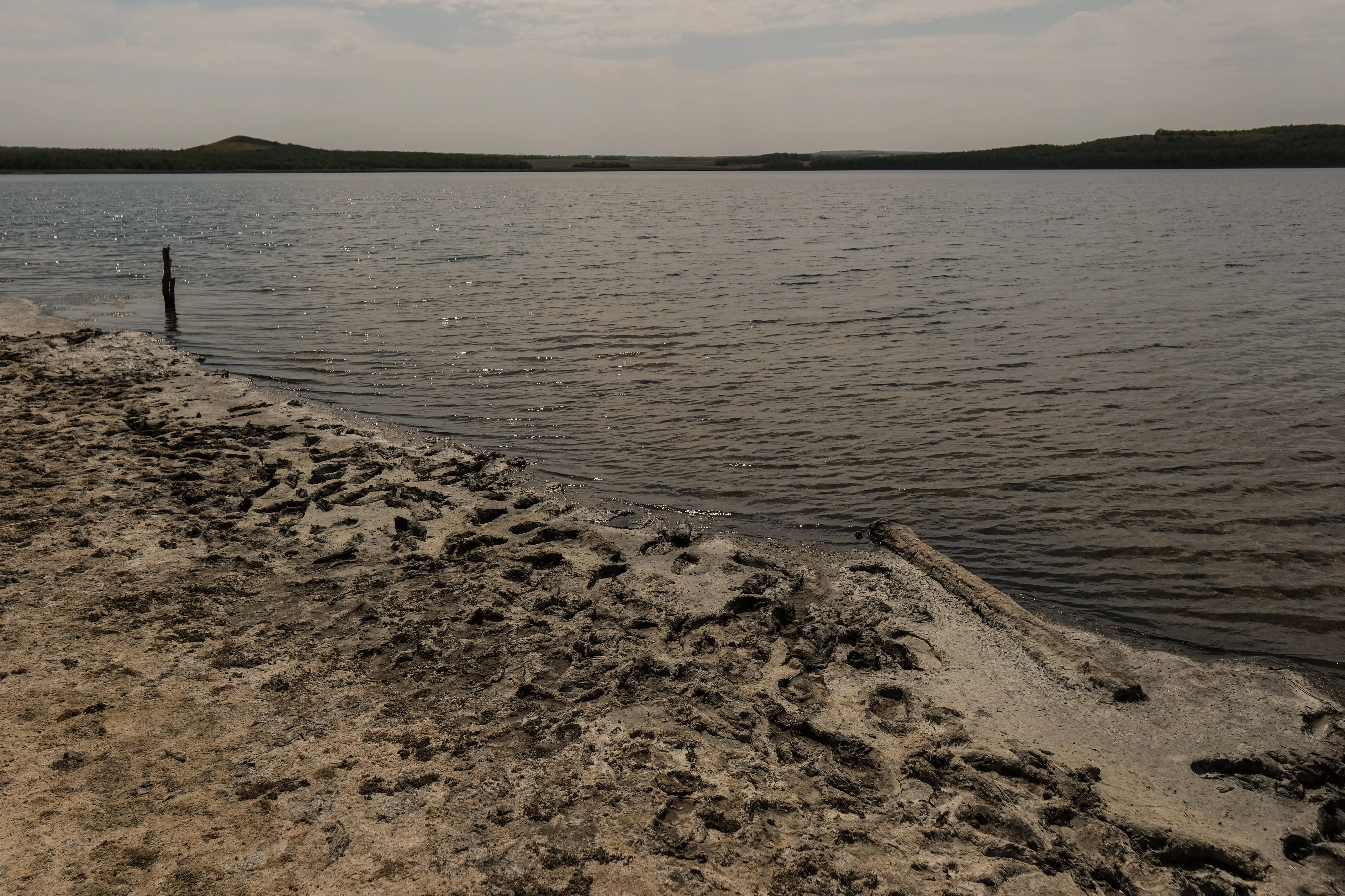 Ученые зафиксировали загрязнение уникальных озер Крыма