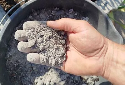 3 способа использовать золу во второй половине лета на огороде: урожай станет больше на 23 процента 
