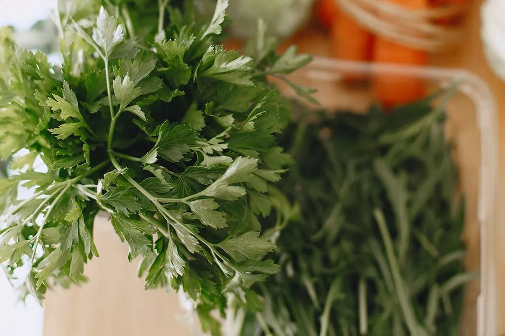 Бросил в пакет с зеленью кусочек лука - и она хранится свежей в 3 раза дольше: проверенный лайфхак 