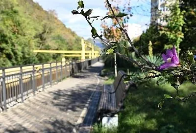 Новую прогулочную аллею обустроят вдоль реки Восточный Дагомыс в Сочи