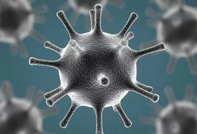 Онищенко предупредил: сезон гриппа и ОРВИ продлится до середины апреля