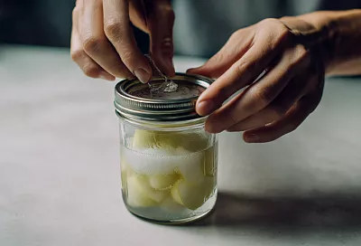 Ферментированные яблоки — домашний пробиотик для кишечника и иммунитета