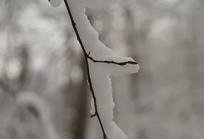 В снежном плену: что известно о последствиях разгула стихии в Краснодарском крае