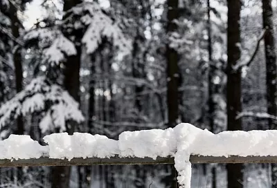 Снегопад парализовал Шереметьево: пассажиры «Победы» часами ждут вылета