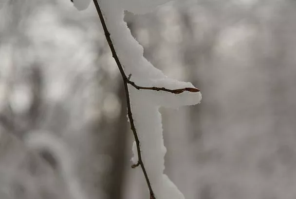 В снежном плену: что известно о последствиях разгула стихии в Краснодарском крае