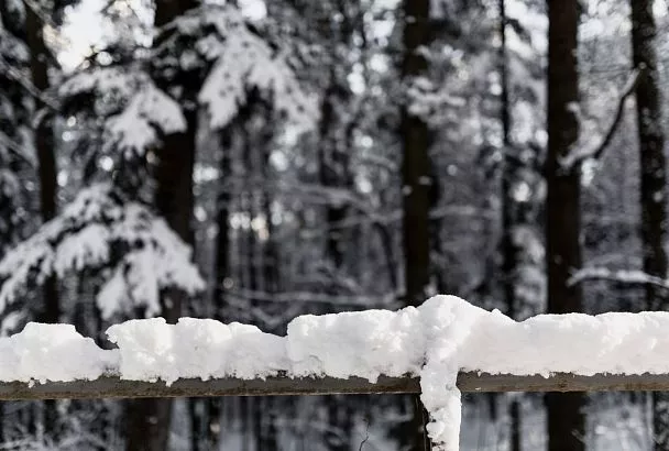 Снегопад парализовал Шереметьево: пассажиры «Победы» часами ждут вылета