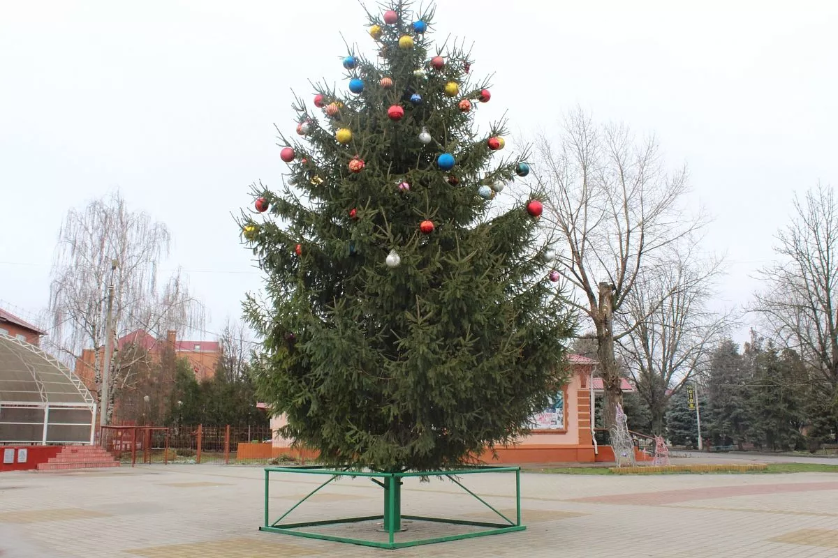 Главная ёлка в станице Кущевской Главная ёлка в станице Кущевской