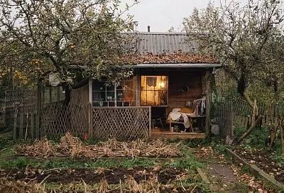 Лунный календарь с 22 по 28 ноября: Луна растет – садовод землю гребет