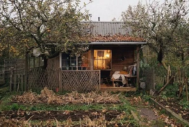 Лунный календарь с 22 по 28 ноября: Луна растет – садовод землю гребет