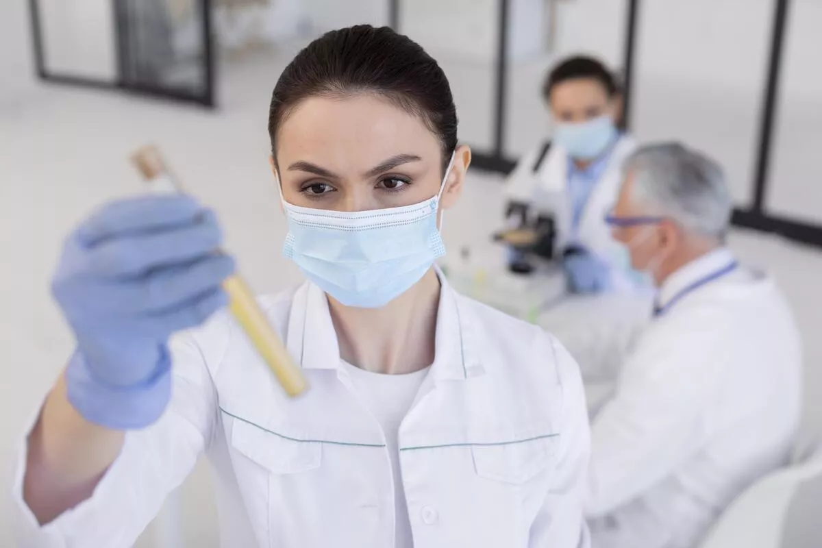 Учёные из Новосибирска нашли способ выращивать ценное лекарственное растение