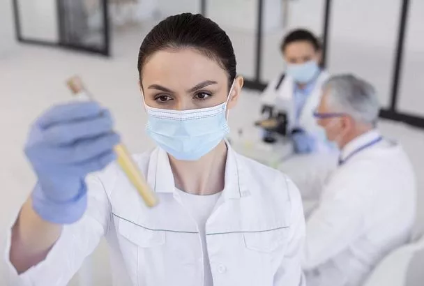 Учёные из Новосибирска нашли способ выращивать ценное лекарственное растение