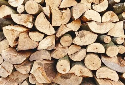 Чистим печь осиной: почему этими дровами рекомендуют топить печь каждую неделю