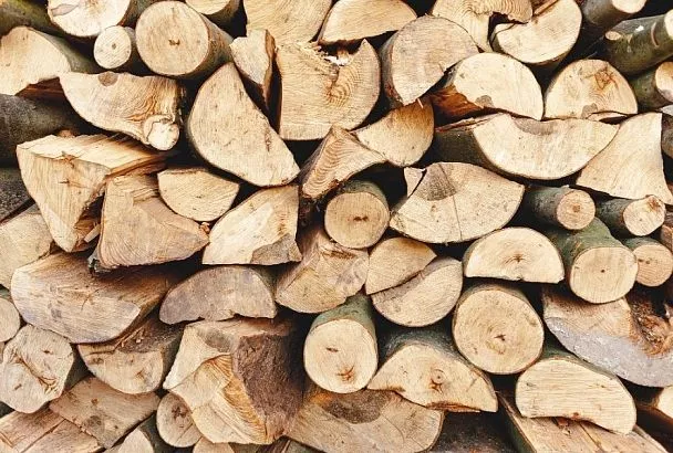 Чистим печь осиной: почему этими дровами рекомендуют топить печь каждую неделю