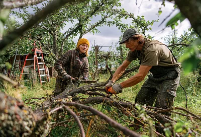 Спасите запущенный сад: секреты ухода от экспертов 