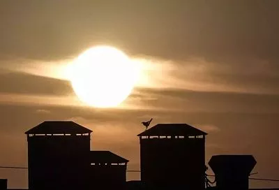 На Солнце произошел взрывной выброс плазмы